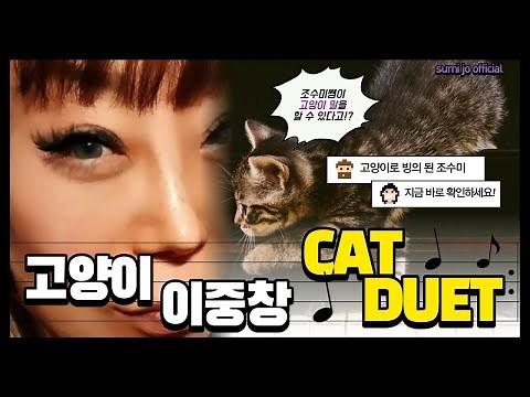 Cat Duet by Rossini (CAT VOCALIZATION) 고양이들의 사랑과 전쟁! #meow