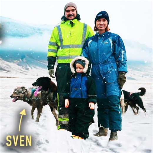 26K views · 487 reactions | Our Experience Sailing to The Arctic Circle! | Sailing La Vagabonde | Facebook