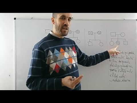 Génétique humaine, les maladies dominantes et les maladies récessives | SVT BAC