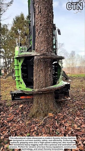 Powerful Tree Felling Machine – High-Efficiency Forestry Cutter!