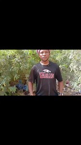 Médiaafrica-Mali on Reels