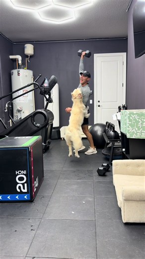 When you’re trying to workout but you own dogs
