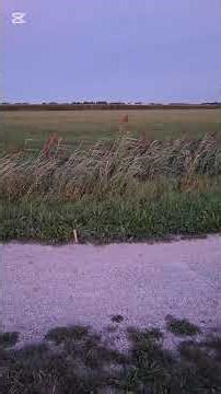 Selfmade shell! #fireworks #fun