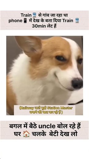 Train late kya hui, kismat chamak gayi! 🐕 #funny#trending #foryou #ytshorts #memes #reactionvideo