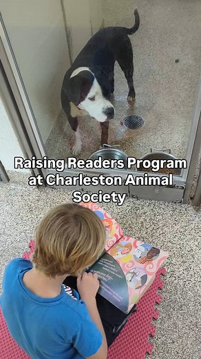 3K views · 13 reactions | ✨ New Program Alert: Raising Readers...