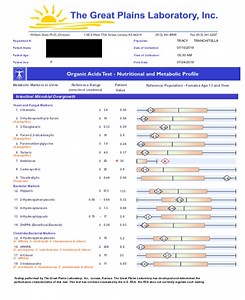 Organic Acids Test (OAT)