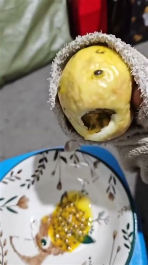 Comenta que te pondria asi? #risas #fypシ゚viral #humor