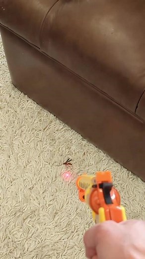 Double tapped. (🎥: yallshootyoureyeout/IG) #hunters #technique #doubletap #iykyk #bugasalt #fireyourflyswatter #notarealgun #tiktok #fyp