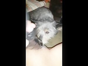 Bitch Force-Fed, Fucked by a Roaring Rottweiler