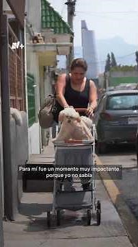 Cereza and Cerecito: Survivors of the La Concordia explosion