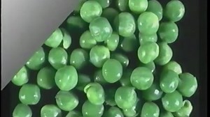 Baby Einstein Gymboree 1997 VHS