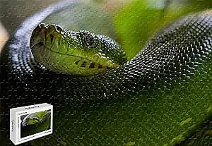 1000 Piece Jigsaw Puzzle - Python Snake Head Scales Green Boa Premium Basswood Materials Bright Color,29.5 X 19.6 Inch