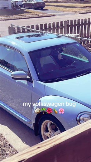 My Blue Volkswagen Beetle: A Tropical Adventure