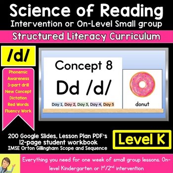 Dd CVC Small Group Intervention Workbook Science of Reading Digital Resource