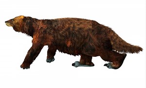 Why Did the Giant Sloth Go Extinct?