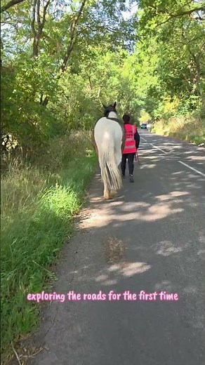Taking My Young Horse On The Road For The First Time 🐴