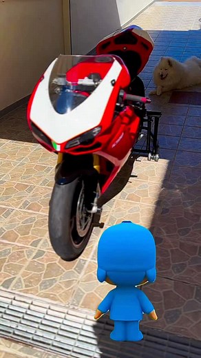 Pocoyo likes the 1098s 🤝 Can you blame him? 🔥🏍️ Twist. Lean. Fly. Repeat 💨 Bike: Ducati 1098s ❤️‍🔥 Gear Setup: • Tyres — Continental Race Attack • Suit — Dainese Laguna Seca • Gloves — Five RS • Boots — TCX Race Boots Follow every ride 👉 @ducatella_biker Where speed meets soul 🇮🇹✨ . . #DucatiLife #Ducati1098s #BikeLife #MotorcycleAddict #ThrottleAddict #SportbikeLife #TwoWheelsForever #RiderCommunity #SuperbikeLife #MotoVlog #TrackDay #FastBikeCrew #BikerVibes #AdrenalineJunkie #Motorcyc
