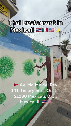 Thai Restaurant in Mexicali - Delicious Cuisine Experience