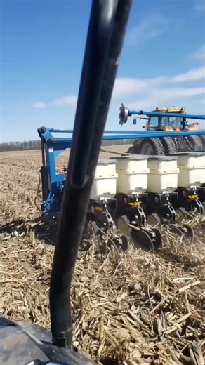 36 ROW PLANTER NO TILL IN HEAVY CORN RESIDUE! #farmer #farming #agriculture #farm #farmers #plant | BP Farming