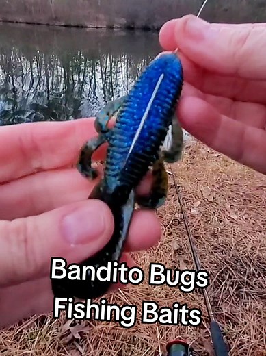 Top Fishing Baits: Bandito Bugs and Craw Baits Reviewed