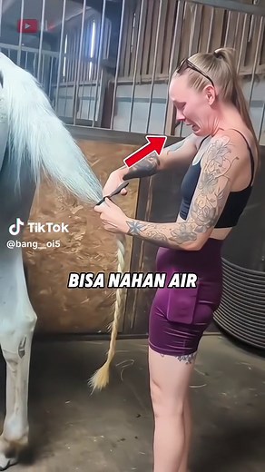 Perpisahan Emosional Dengan Kuda Kesayangan