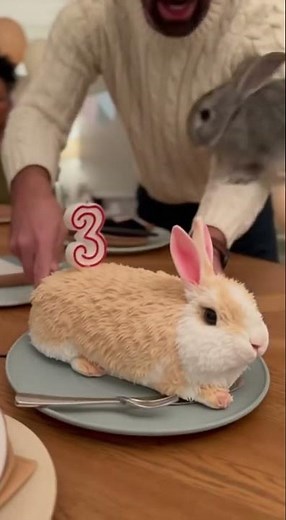 🐇 Rabbit Freaks Out Over Sweet Look-Alike! 😹🍰