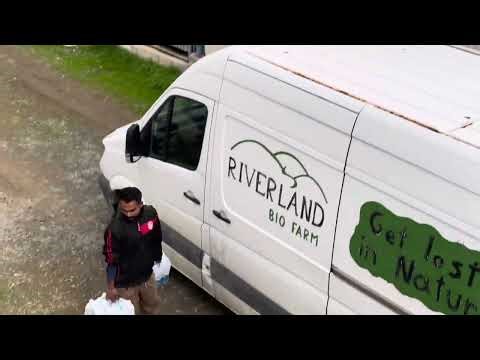 Cyprus farm work, Cyprus vich farm te kam , Cyprus farm