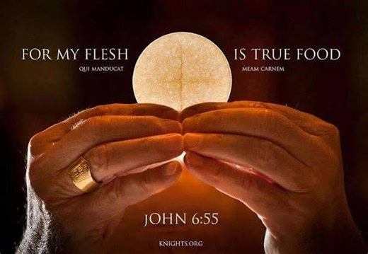 TOP 10 Quotes on the EUCHARIST to Inspire You Every Day and Ignite Your Love of Jesus!