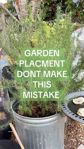 Garden Layout Mistakes to Avoid | Spacing & Sunlight Tips That Matter