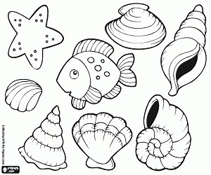Shells, a starfish and a fish coloring page printable game