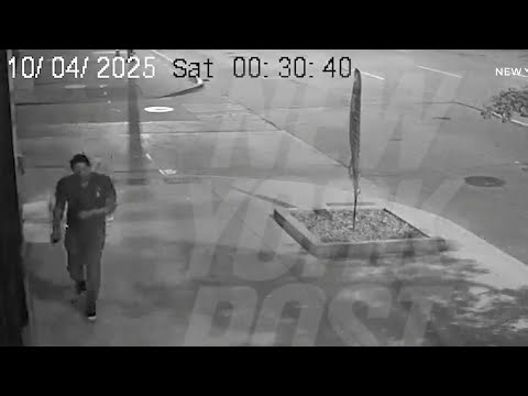 Video shows moments after former NFL quarterback Mark Sanchez injured in altercation