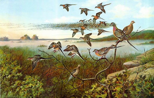 Should scientists bring extinct species back from oblivion?