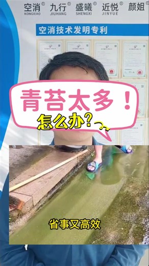 一分钟搞懂—青苔疯长成灾？除苔妙招在此！