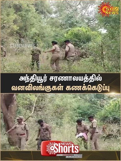 Erode | Anthiyur Tourist Places | Zoological Park | Wildlife Census | Forest Dept | Sun News