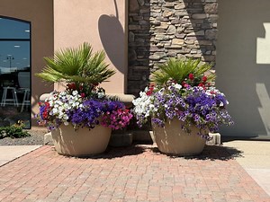 Stunning porch containers… minimal watering?! 3 secrets to luscious flower displays