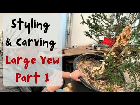 Styling & Carving a large Yew with Kevin Wilson - Part 1