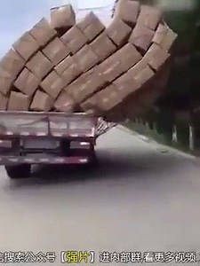 93K views · 12 reactions | Omg watch this | Wtf Videos | Facebook