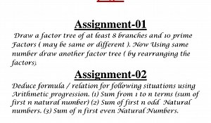 Assignment-01Draw a factor tree of at feast 8 Granches and 10 ... | Filo