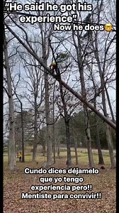 A good story to tell your kids!! Mintió para conseguir trabajo!! #treeservicenearme #treeservice #funnyvideos #cortado #treeclimber #funnypost #treefall #funny #treecare | Humbe Ortiz