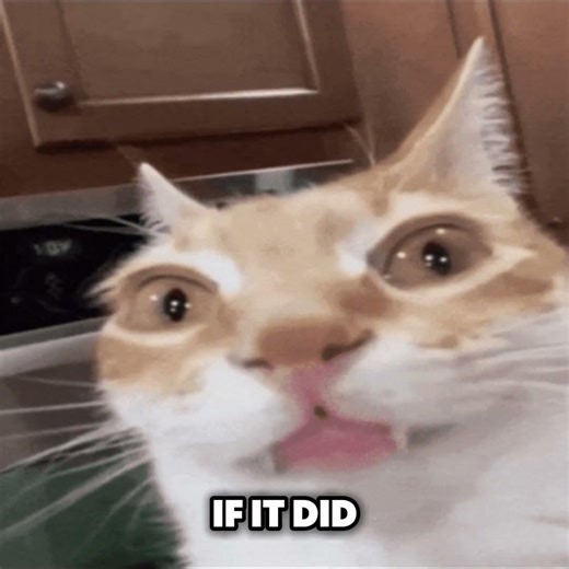 Send this to your friend😂💀 #cat #funny #memes