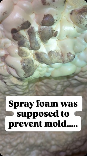 Mold Testing LIVE🔴 on Instagram: "Thank you 🙏 @moldassessor #moldassessor Spray foamed attics do not necessarily prevent mold. What prevents mold is a dry condition. This includes a low humidity level and dry surfaces. The typical attic is vented and this can introduce humid and contaminated air into the attic space. Environmental concerns inside the attic can make their way into the home and should be treated as possible exposure concerns. #buildingscience #moldtest #moldtesting #moldinspecti