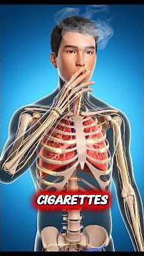 Cigarettes vs Vape What Happens Inside Your Body?