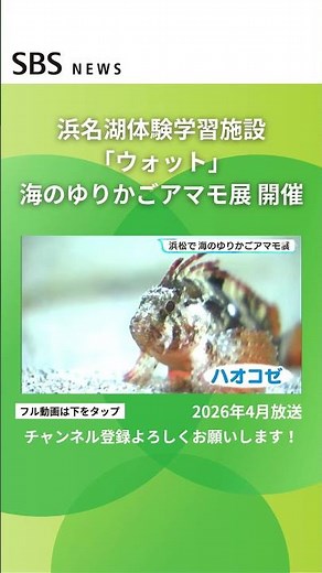 Seagrass Exhibition, a Cradle of the Sea, held at Hamana Lake Experiential Learning Facility "Wot...