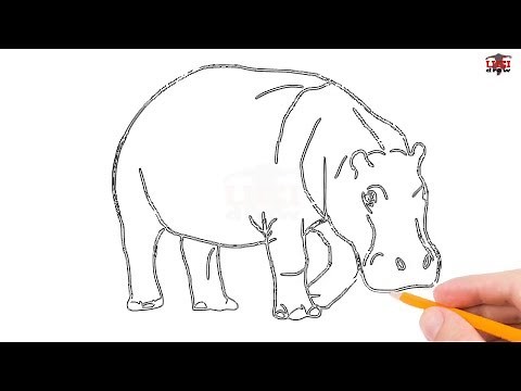 How to Draw a Hippo Step by Step Easy for Beginners/Kids – Simple Hippos Drawing Tutorial