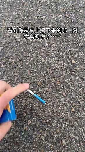 Heart-Stopping Car Fall: Never Saw That Coming! Unexpected MustWatch