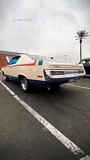 The LEGEND They Never Wanted You to Know About!