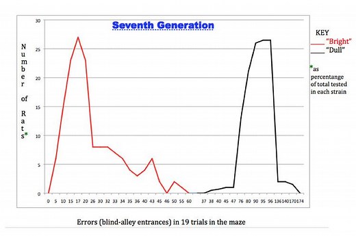 Tryon's Rat Experiment - Alchetron, the free social encyclopedia