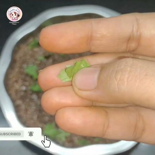 जवस चटणी रेसिपी | jawas chutney recipe | जवसाची चटणी | Flaxseed Chutney | अलसी की चटनी