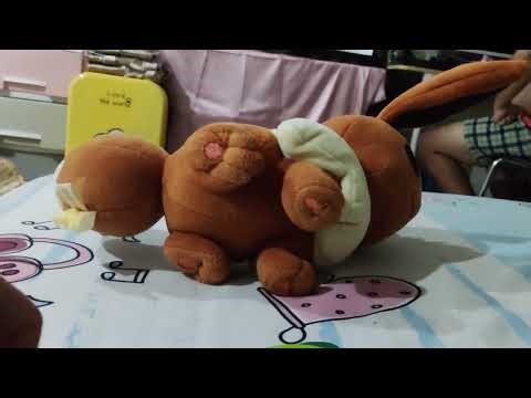 Eevee adventure season 1 10/14/25