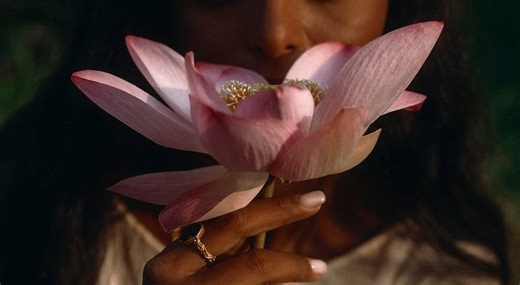 The Rabbit Hole 🕳🐇 issue no.63